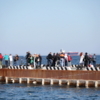 Зрители, тренеры и родители наблюдали за заплывом с берега — newsvl.ru