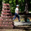 Вазонная пирамида - фото skr.su — newsvl.ru