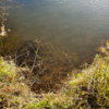 По предположениям надзорных органов, химикаты могли попасть в реку с объектов ДГК или Примводоканала — newsvl.ru