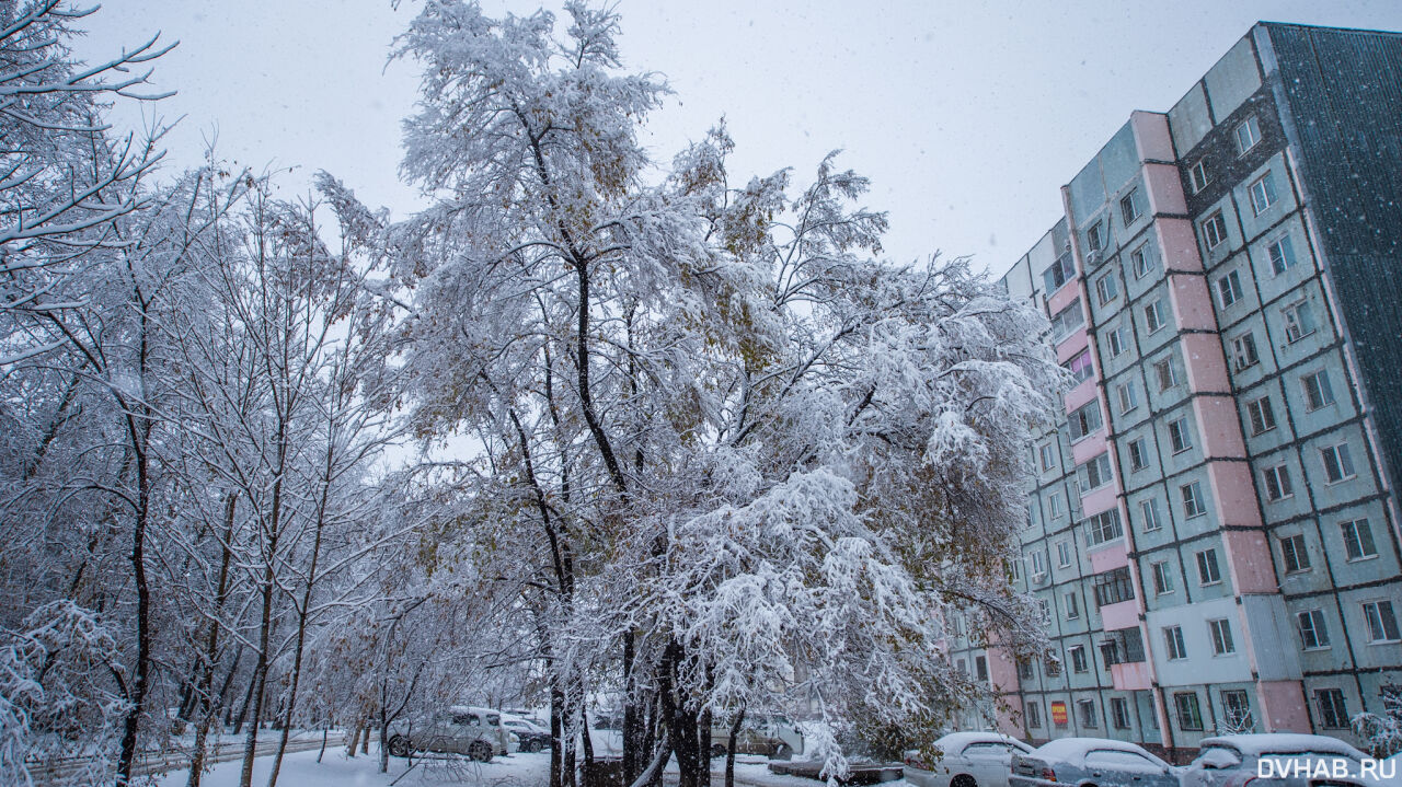 В Снежном состоялось открытие первого в городе МФЦ - Общество - ДАН