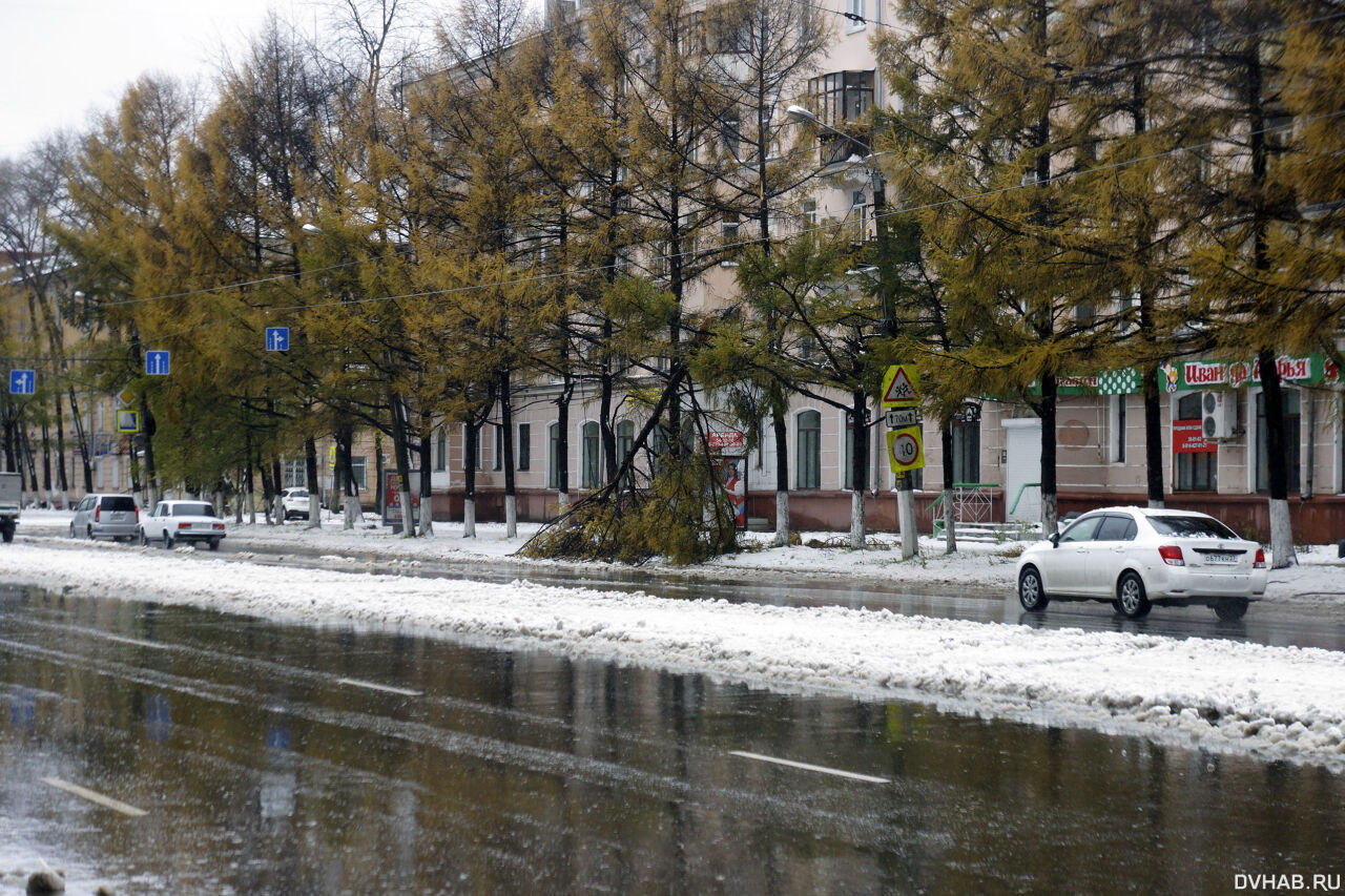 Погода комсомольск на амуре хабаровского. Комсомольск на Амуре климат. Комсомольск-на-Амуре ноябрь. Погода в Комсомольске-на-Амуре. Погода Комсомольск.