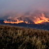 Огонь охватил несколько тысяч гектаров — newsvl.ru