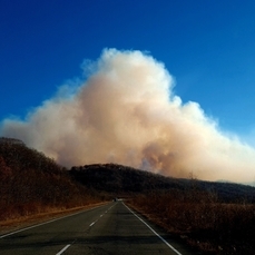 У границ национального парка «Земля леопарда» потушили пожар, дым от которого дошёл до Владивостока 