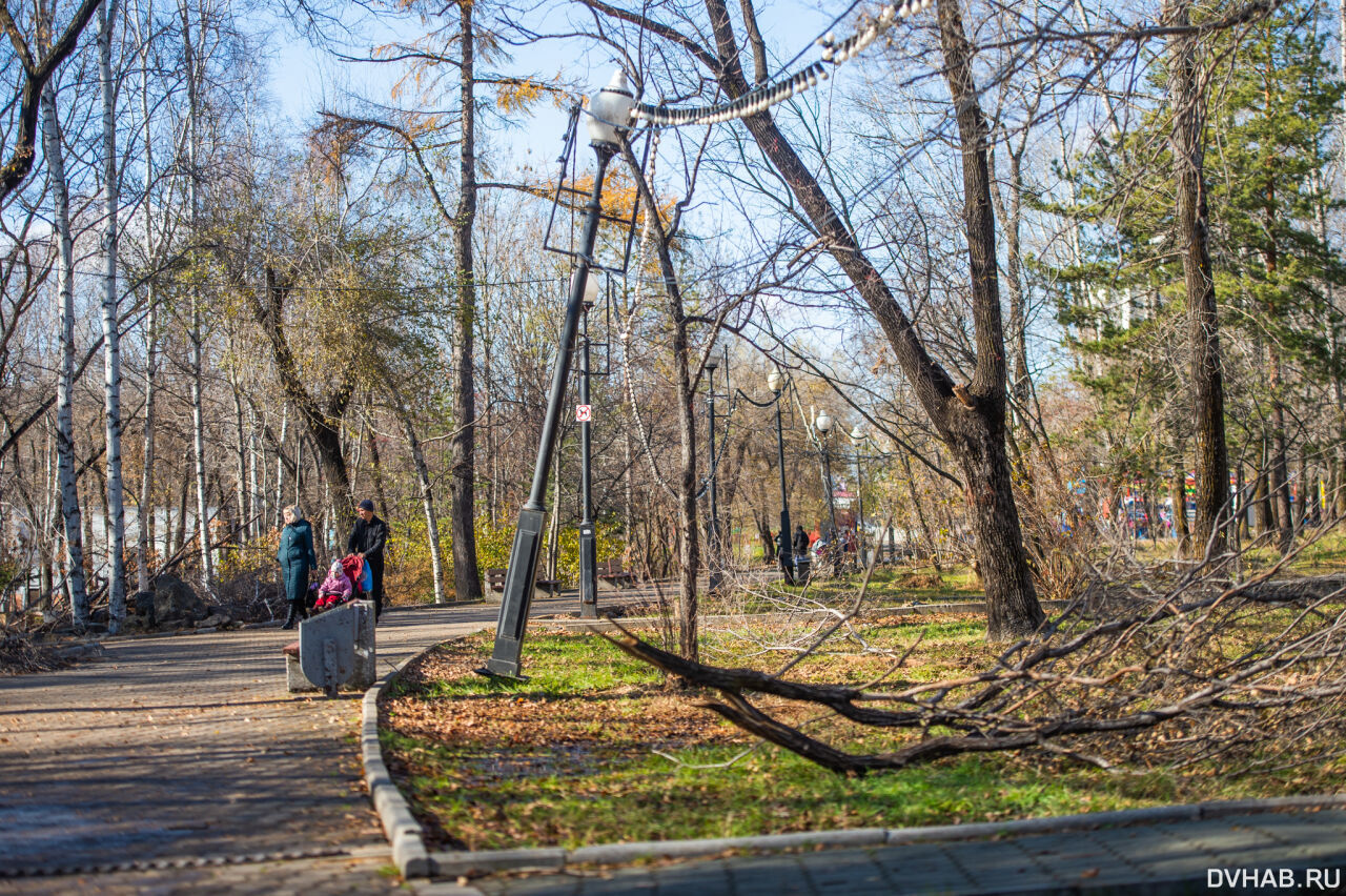 парке динамо в хабаровске