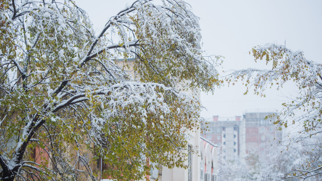 Прогноз погоды в Комсомольске-на-Амуре на вторник, 3 ноября