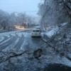 Ветви деревьев ломаются и падают на дороги, создавая помехи для водителей — newsvl.ru