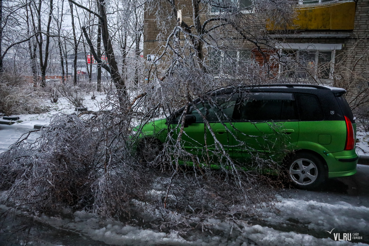 Москва ледяной дождь сегодня. Владивосток ноябрь 2020 ледяной дождь. Ледяной дождь в России 2010 год. Последствия ледяного дождя во Владивостоке. Ледяной дождь Владивосток машины.