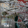 Дождь со снегом превратили Владивосток в ледяное царство
