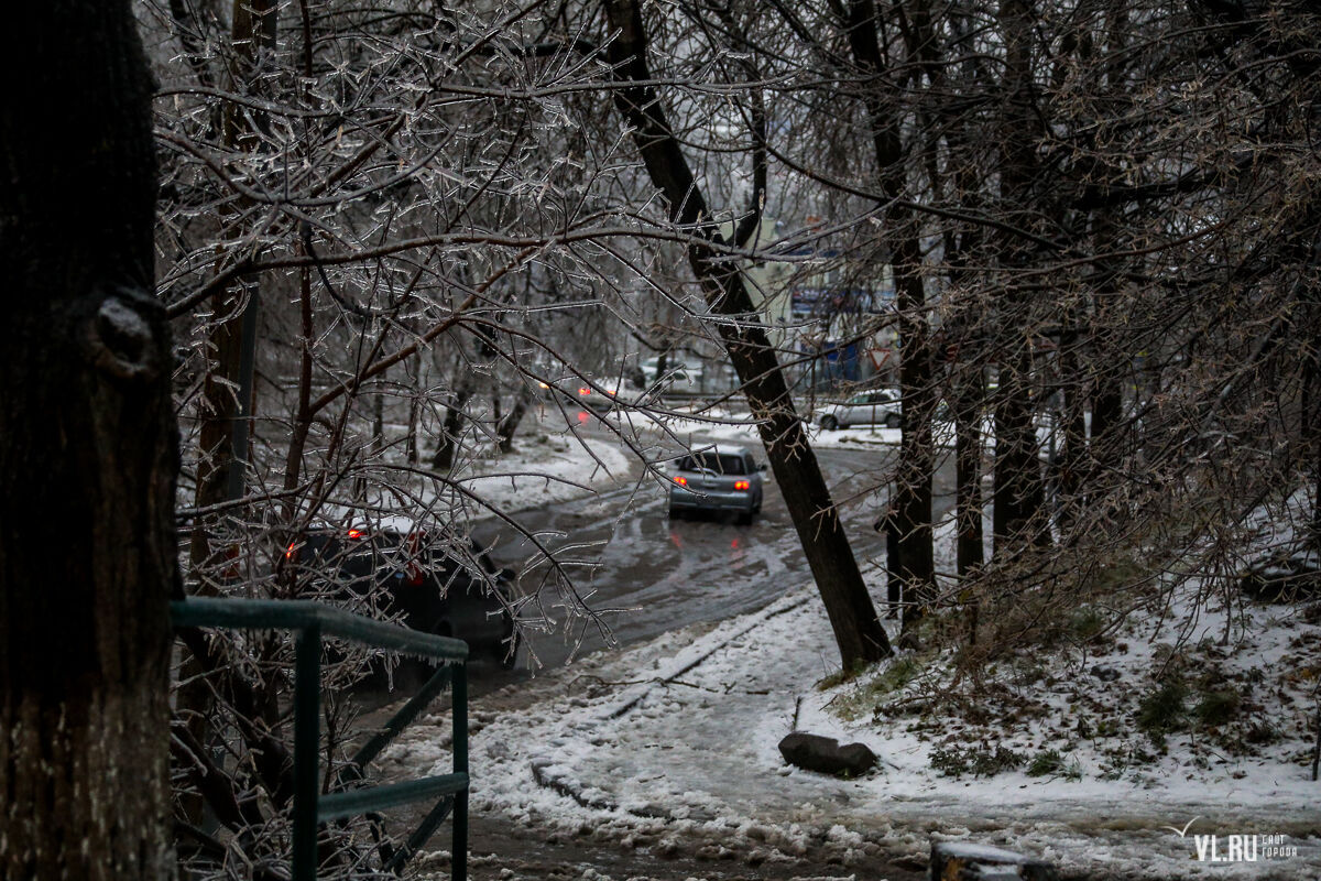 Владивосток в ноябре. Ледяной дождь во Владивостоке. Ледяной дождь в Хабаровске. Ледяной дождь Владивосток 2017. Фото Владивостока после ледяного дождя.