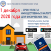 Владивостокцам спишут пени за прошлые годы при уплате имущественных налогов до 1 декабря