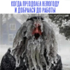 @ireal_vladivostok — newsvl.ru