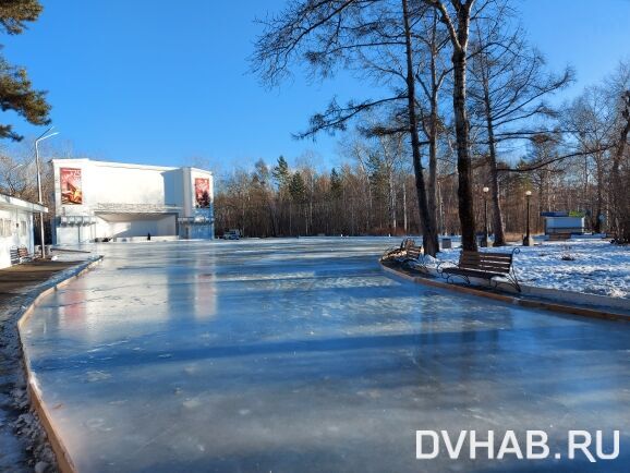 Каток в парке ленина белгород