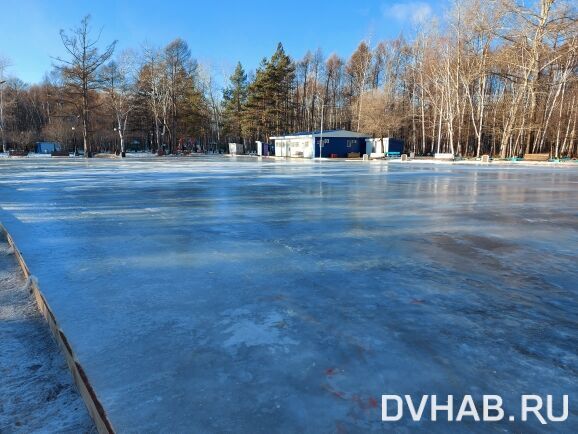 Парк гагарина каток самара