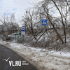Кто и когда должен убирать лёд, снег и ветки во Владивостоке