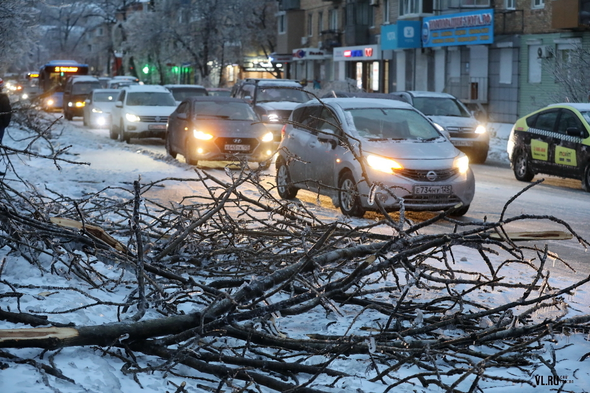 Владивосток без света сегодня. Обледенение во Владивостоке 2020. Владивосток Обледенение. Снегодождь опять снегодождь. Снегодождь опять снегодождь фото безопасность.