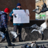 Надпись на плакате: «Нашу пенсию унёс депутат-единоросс» — newsvl.ru