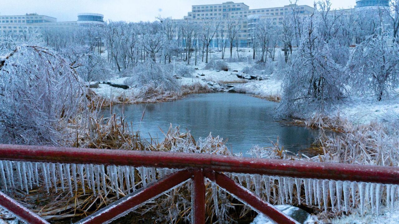 В ледяном плену: хабаровчанка застряла на Русском острове после катаклизма  (ФОТО) — Новости Хабаровска