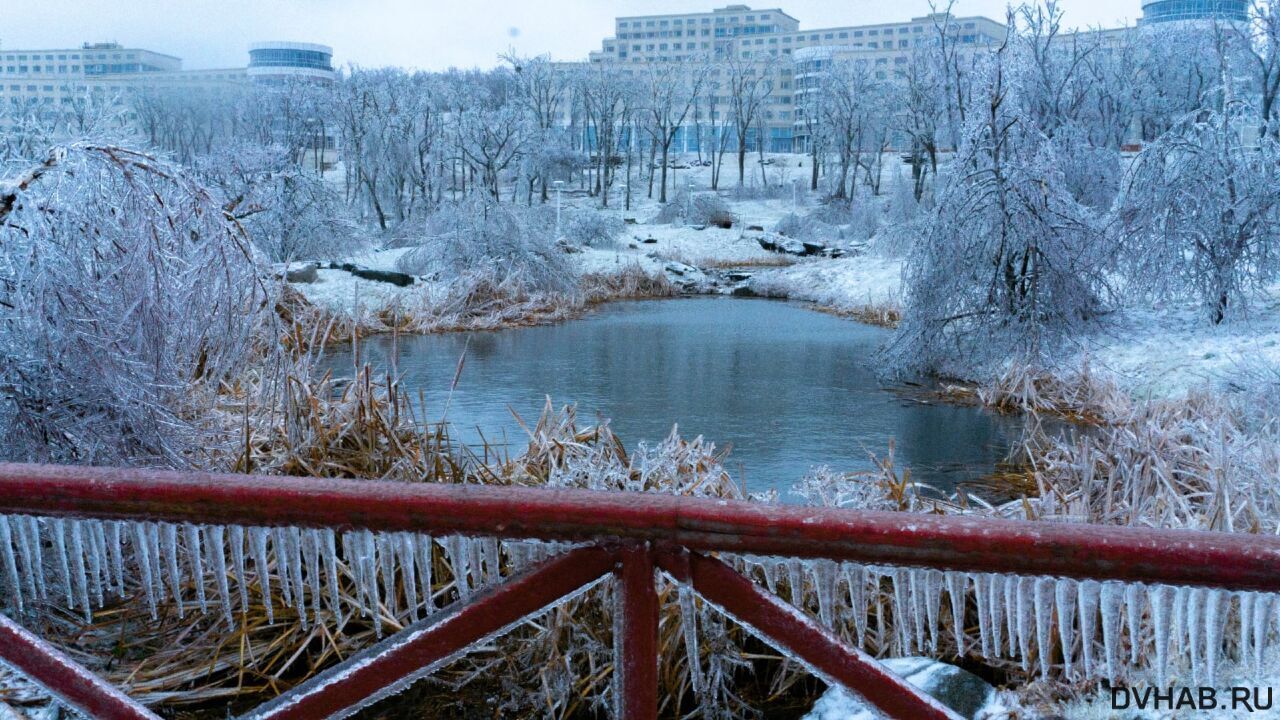 Дальневосточная столица с 2018 года. Ледяной дождь в Приморье. Ледяной дождь Владивосток ноябрь 2020. Ледяной дождь в Приморье 2020. Ледяной дождь во Владивостоке 2020.