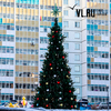 Во Владивостоке устанавливают 13 новогодних ёлок (ФОТО)
