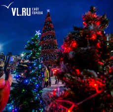 Во Владивостоке к Новому году украсят центральную площадь и скверы