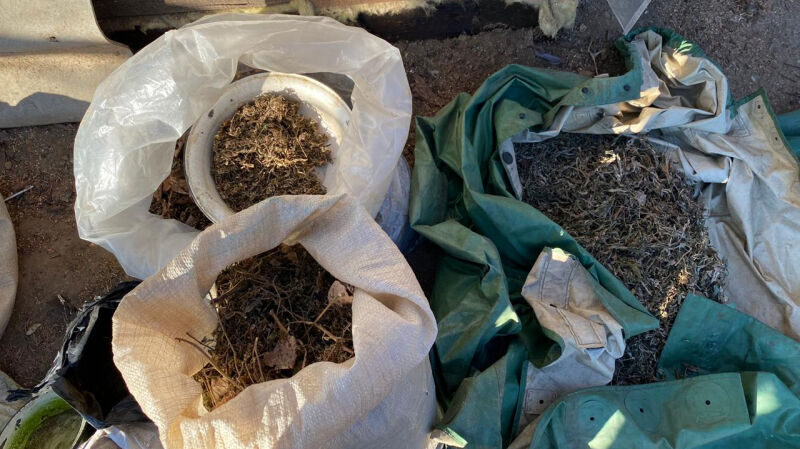 Более 9 килограмм марихуаны изъяли полицейские у жителя села Дубовое