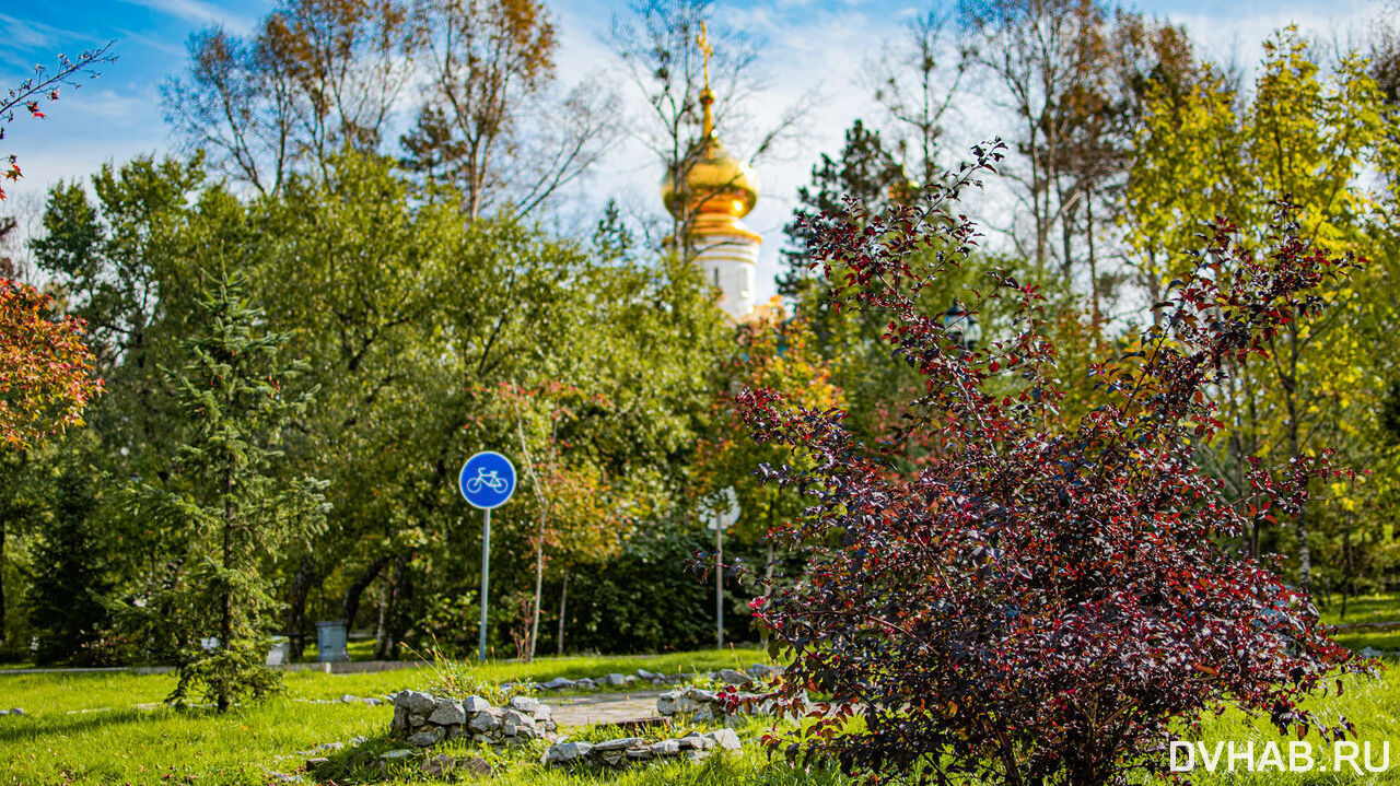 Фото Зона В Парке