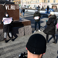 Новогоднее чудо: участники еженедельных акций на центральной площади Владивостока попросили у Дедушки Мороза честных выборов 