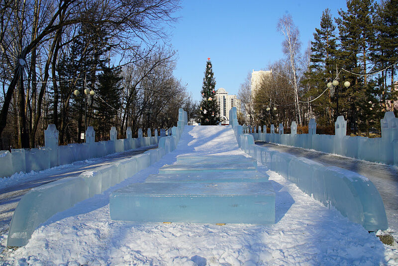 Ели хабаровск. Елка парк Динамо Хабаровск. Парке Динамо елка.