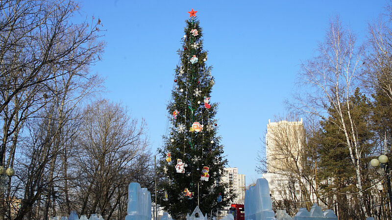 Главную новогоднюю елку Хабаровска нарядили в парке «Динамо» (ФОТО)