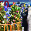 От районов края для конкурса нарядили 34 ёлочки — newsvl.ru