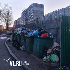 Во Владивостоке снова проблемы с вывозом мусора — экологический оператор объясняет это нехваткой техники и запаркованными проездами 