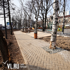 Владивостокцы могут принять участие в обсуждении благоустройства общественных территорий до 15 января