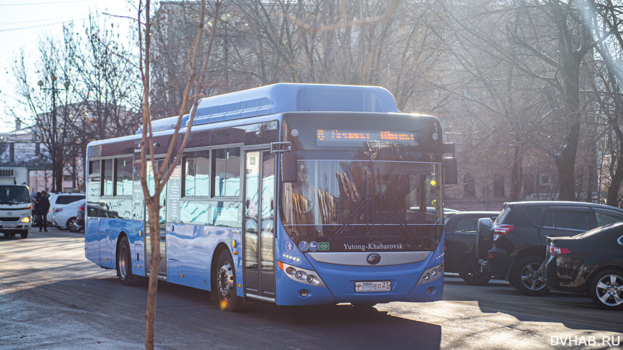 Перекроить автобусную сеть собирается мэрия Хабаровска