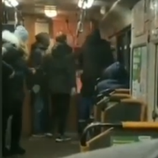 Три хулигана избили водителя автобуса во Владивостоке после отказа платить за проезд 