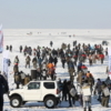 Несколько сотен человек приняли участие в «Народной рыбалке» — newsvl.ru