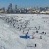 Все участники «Народной рыбалки» разошлись по льду Спортивной гавани — newsvl.ru