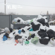 Регоператор выпустил на дороги Владивостока 80 мусоровозов и 6 машин с песком