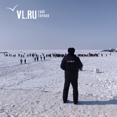 Во Владивостоке  сотни участников несанкционированной акции собрались на льду Амурского залива (ФОТО; ОНЛАЙН) – Новости Владивостока на VL.ru