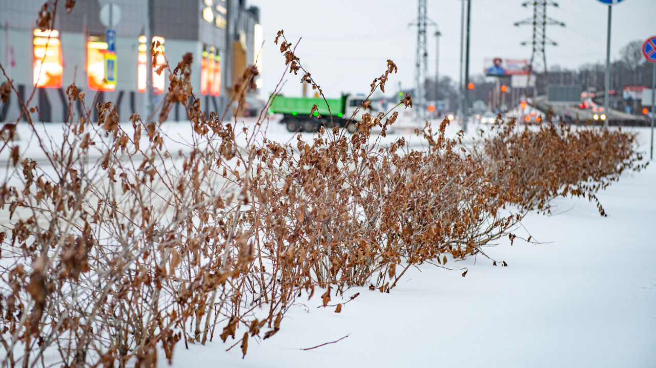 Прогноз погоды в Хабаровском крае на субботу, 6 февраля