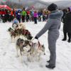 Упряжка с шестью собаками выехала на трассу, чтобы помочь участникам в случае необходимости — newsvl.ru