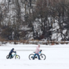 Дети ехали вместе со своими родителями — newsvl.ru