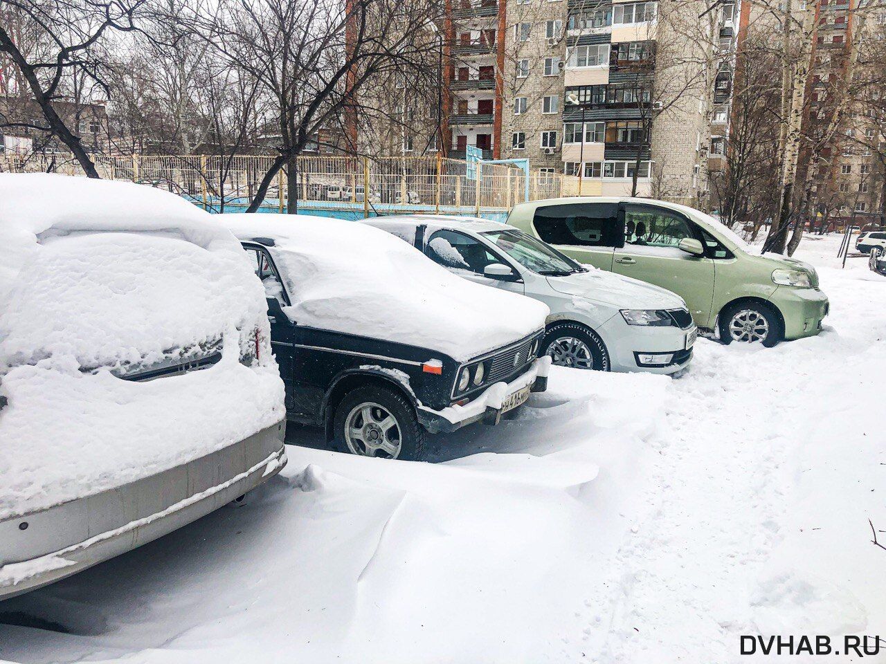 Снежный апокалипсис царит в Хабаровском крае второй день (ФОТО; ВИДЕО;  ОБНОВЛЕНИЕ) — Новости Хабаровска