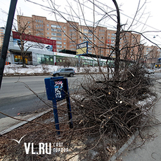 Косогоры и тротуары на гостевом маршруте Владивостока всё ещё усыпаны ветками после ледяного дождя 
