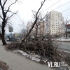 С улиц Владивостока вывезут 3750 тонн веток за 15 млн рублей