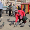 Гулявшие на площади жители кормили крошками хлеба голубей — newsvl.ru