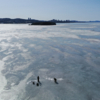 Рыбаки продолжают выходить на лёд — newsvl.ru
