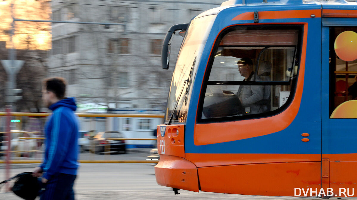 Без трамваев и троллейбусов: депутаты пытаются спасти транспорт в Хабаровске