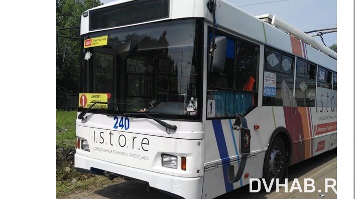 Троллейбусы новее московских нашлись в Хабаровске (ДОКУМЕНТЫ)