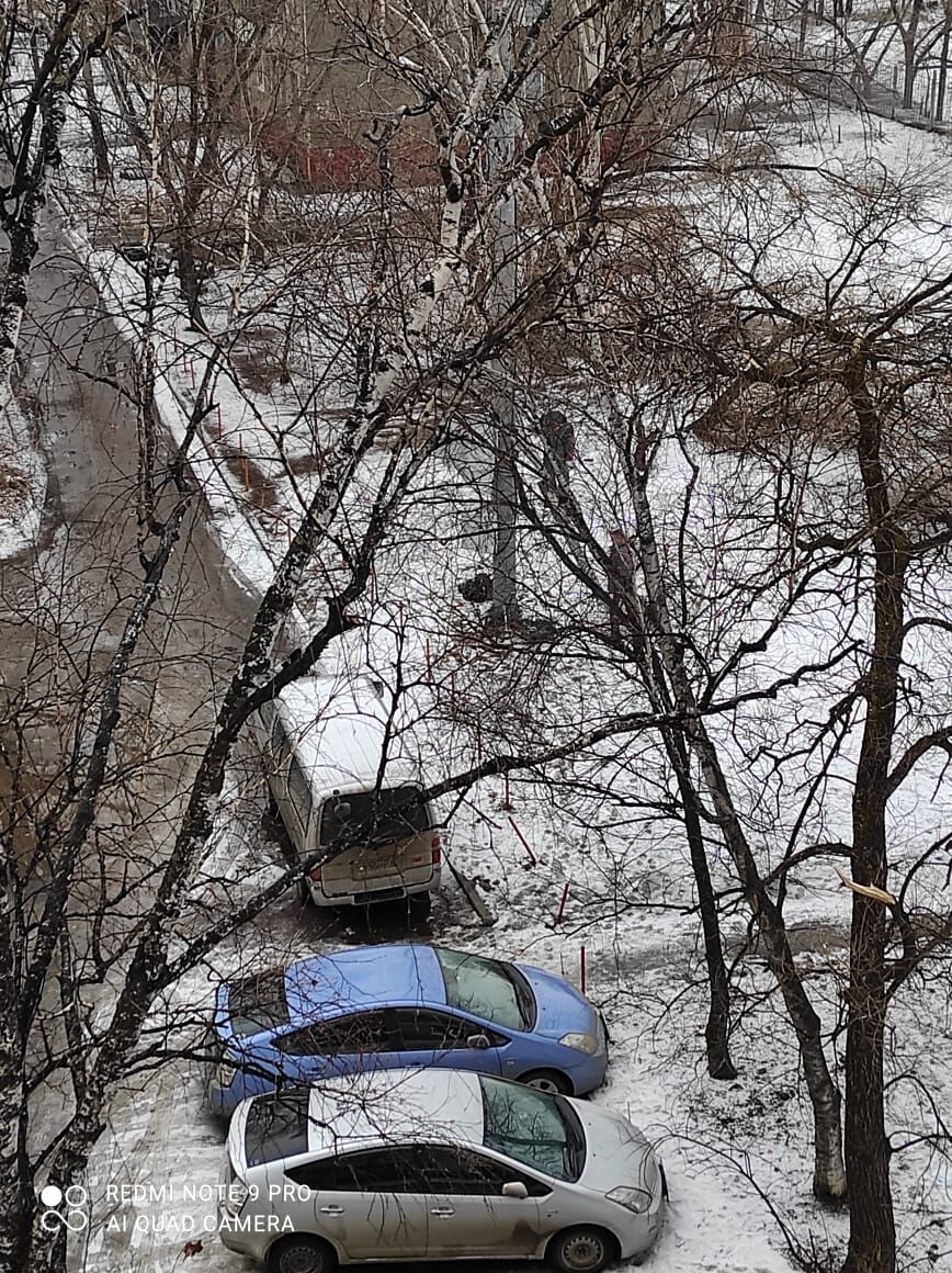 Снести мачту сотовой связи во дворе потребовали хабаровчане (ФОТО; ВИДЕО) —  Новости Хабаровска