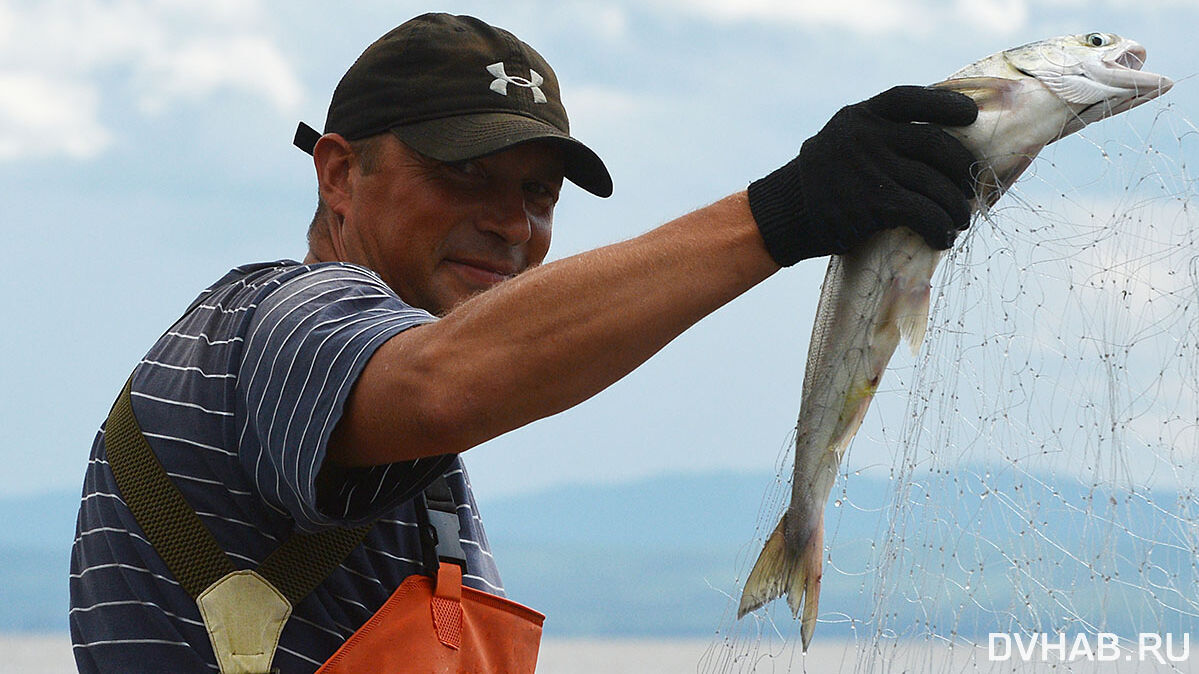 Рыбопромышленники края нашли способ обойти китайский блок на ввоз продукции  — Новости Хабаровска